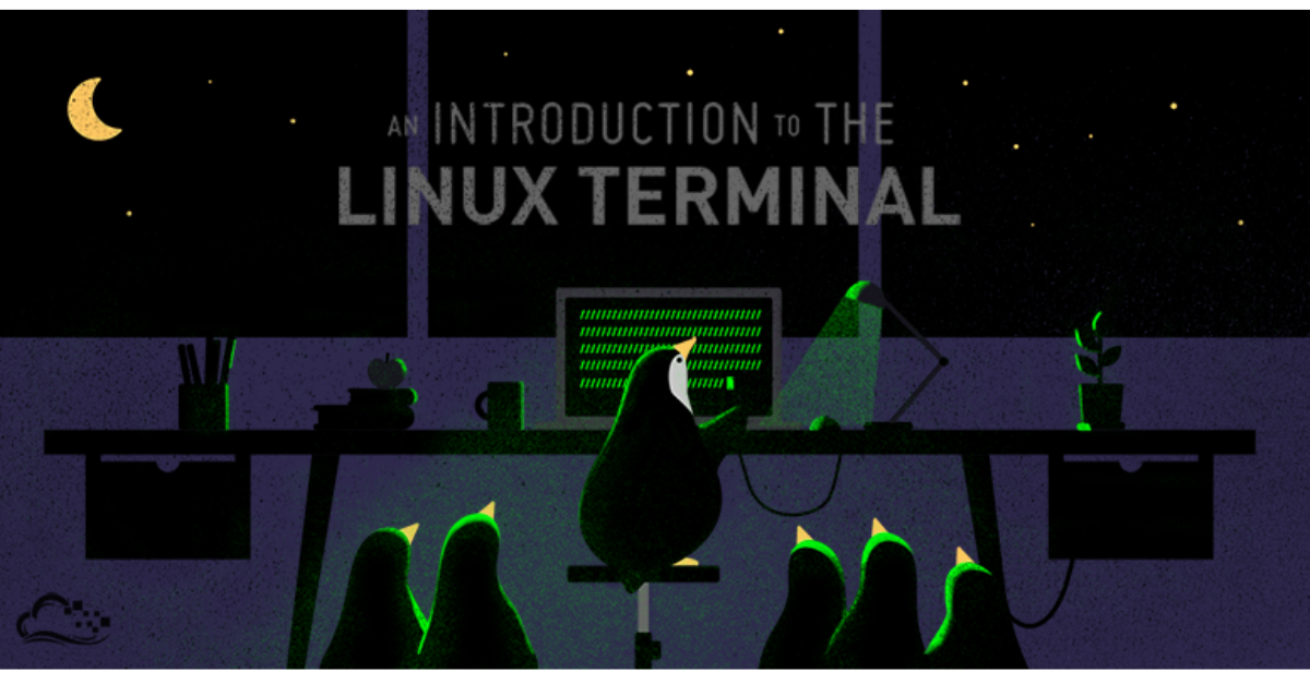 Linux Terminal